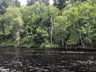 890 BIG , Huntsville, ON P1H 2J2