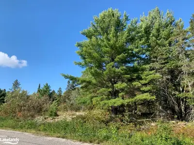 211 RIVERVIEW Drive, French River / Rivière des Français, ON P0M 1A0