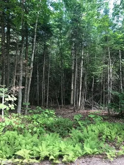 LOT 5 ANDERSON Road, Highlands East, ON K0L 2Y0