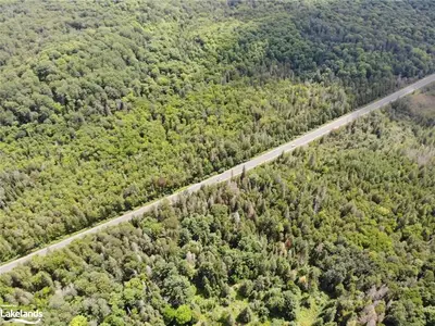 - ESSONVILLE LINE Road, Highlands East, ON K0L 3C0