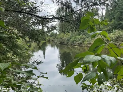 0 County Rd 503 , Highlands East, ON K0M 1X0