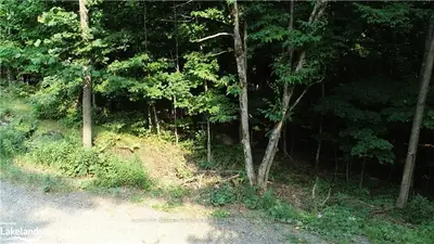 305 WEST POINT SANDS Road, Huntsville, ON P1H 2J3