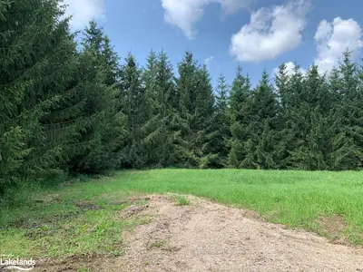 PT LT 69-70 35 Side Road, Grey Highlands, ON N0C 1E0