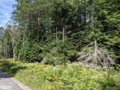1030 South Waseosa Lake Road, Huntsville, On P1h 2j2