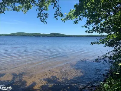 1732 PEGGS MOUNTAIN Road 3, Ryerson, ON P0A 1C0