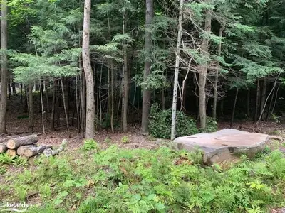 92 VERNON Lane, Huntsville, ON P1H 2J2