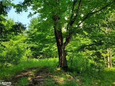 0 RENAISSANCE Street, Minden Hills, ON K0M 2K0