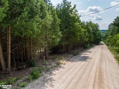 LT 16 ST ARNAUD Street, Grey Highlands, ON N0C 1E0