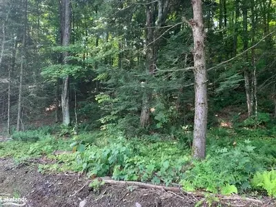 0 OLD ASPDIN Road, Huntsville, ON P0B 1M0