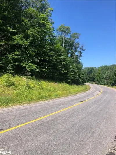 0 NORTH PORTAGE Road, Lake of Bays, ON P1H 2J6