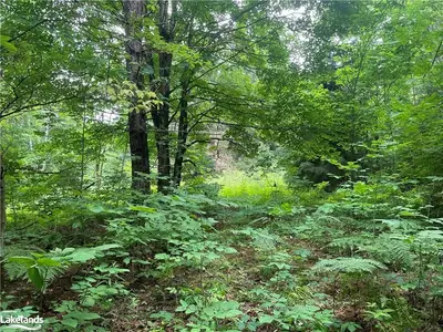 0 SPENCER'S Trail, Highlands East, ON K0M 1R0