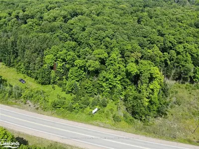 . HIGHWAY 118 , Dysart et al, ON K0M 1S0