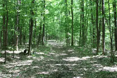 0 UN NAMED Road, Minden Hills, ON K0M 2K0