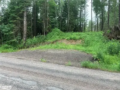 240 North Pickerel Lake Road, Armour, On P0a 1c0