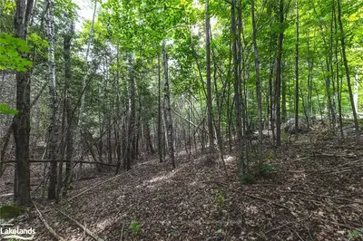 PT. 35 (LT 4) CHELSEA Lane, Algonquin Highlands, ON K0M 1J2