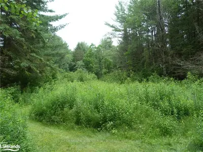 0 CLEARWATER LAKE Road, Huntsville, ON P0B 1L0