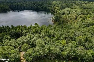 -- TACKABERRY Lane, Lake of Bays, ON P0B 1A0