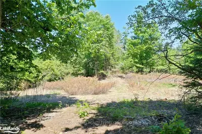 PT LT 12 CON 5 SUTER Drive, Kawartha Lakes, ON K0M 2B0