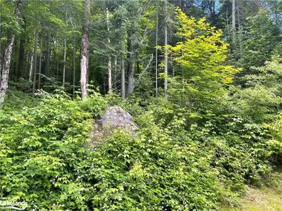 54 YEARLEY Road, Huntsville, ON P0B 1M0