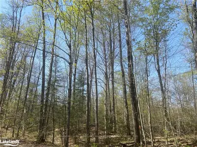 93 SUMMER LEIGH Trail, Huntsville, ON P0B 1M0