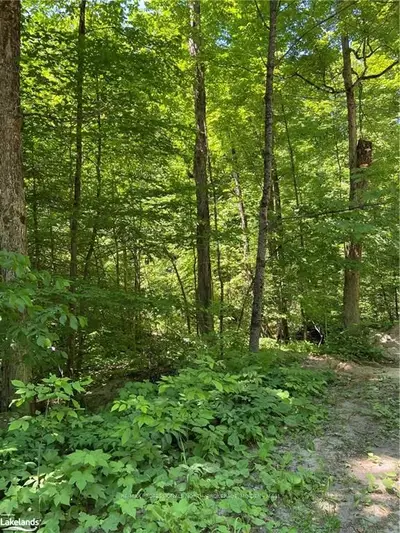 000 SALERNO LAKE Road, Highlands East, ON K0M 1X0