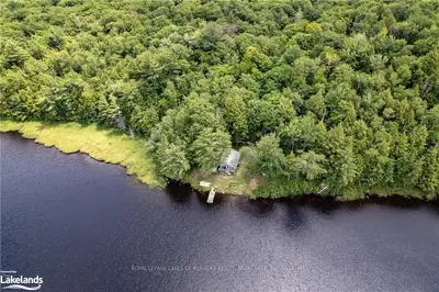 2515 MUSKOKA 117 Road, Lake of Bays, ON P0B 1A0