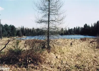 24 & 25 BEAR CAVE Road, Muskoka Lakes, ON P0C 1J0