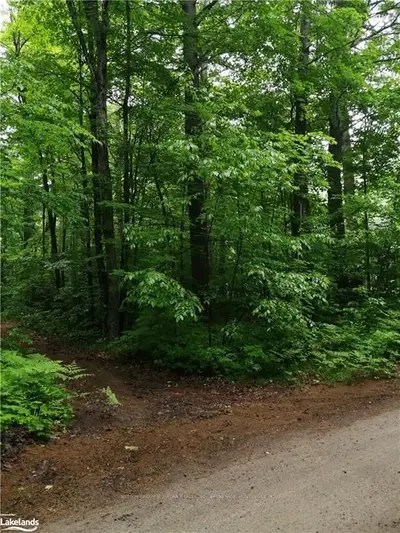 61 Pennys Lane, Huntsville, ON P0B 1M0