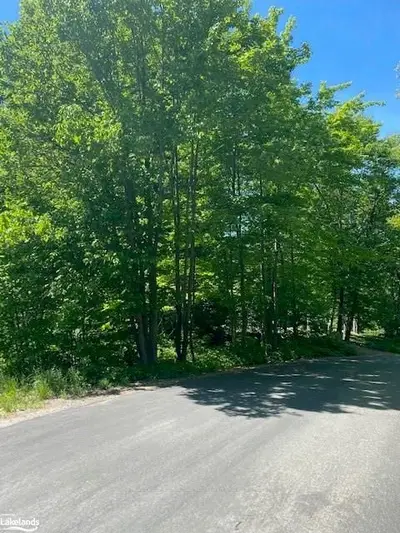 11 TODHOLM Drive, Muskoka Lakes, ON P0B 1J0