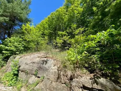 CEDAR BEACH Road, Bracebridge, ON P1L 1W8