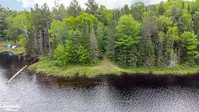 BEER LAKE Road, Minden Hills, ON K0M 2K0