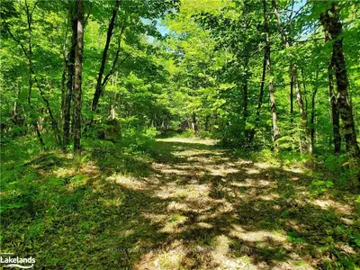 1299 LEE'S Road, Highlands East, ON K0L 2Y0
