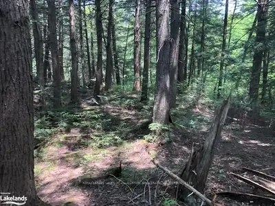 0 SHANGRI-LA Road, Algonquin Highlands, ON K0M 1J0