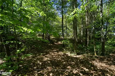 55 YONGE Street, Georgian Bay, ON P0C 1H0