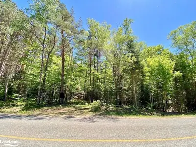 NEAR 3507 KAWAGAMA LAKE Road, Algonquin Highlands, ON P0A 1E0