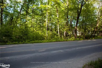 NA FALKENBURG RD Road, Muskoka Lakes, ON P1L 1X4