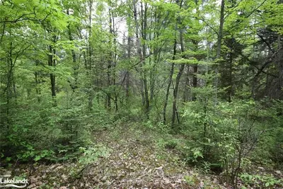 . BRADY LAKE Road, Minden Hills, ON K0M 2K0