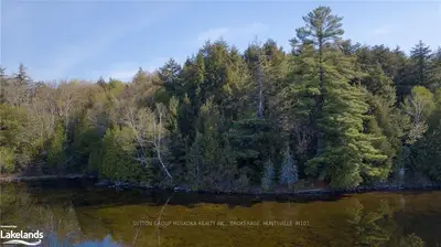 LOT 1 FIELDALE Road, Lake of Bays, ON P1H 2J6