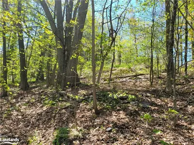 LT55 ANSLEY Street, Parry Sound, ON P2A 1L6
