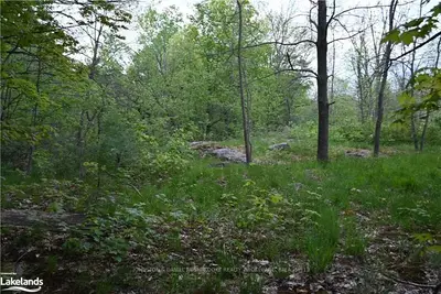 ACROSS FROM 1267 MOON RIVER Road, Muskoka Lakes, ON P0C 1A0