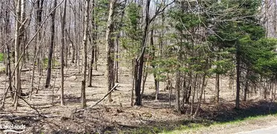 108 Vernon Lane, Huntsville, ON P1H 2J2