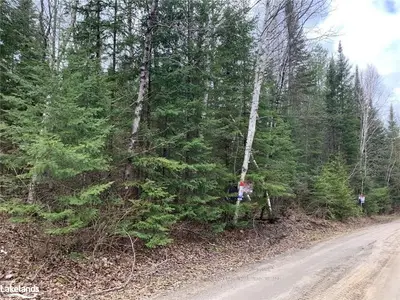 - MORNING GLORY Drive, Highlands East, ON K0M 1S0