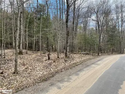 0 CHARLIE THOMPSON Road, Lake of Bays, ON P0A 1H0