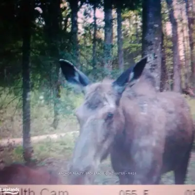 503 JAMES CAMP ROAD Road, Ryerson, ON P0A 1C0