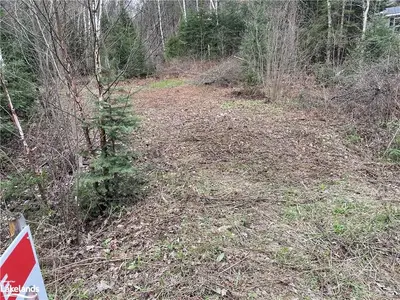 135 Balsam Chutes Road, Huntsville, ON P0B 1L0