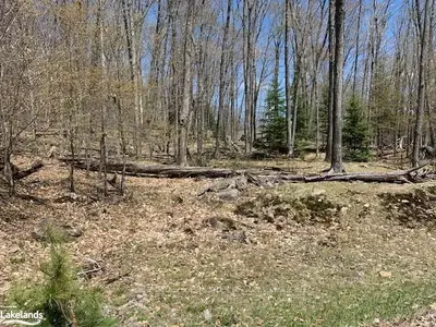 130 Deerfoot Trail, Huntsville, On P1h 0a8