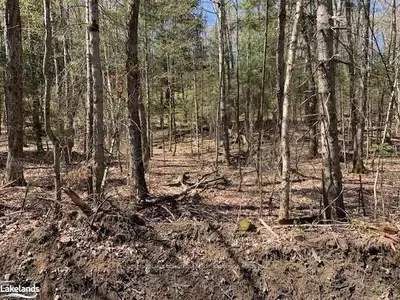 OLD ASPDIN Road, Huntsville, ON P0B 1M0