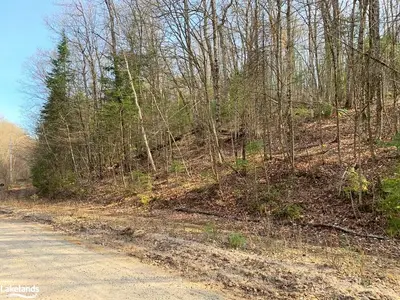0 CEDAR LAKE Road, Highlands East, ON K0L 3C0