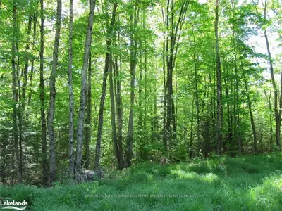 . LOT 64 OFF ECHO RIDGE Road, Kearney, ON P0A 1M0