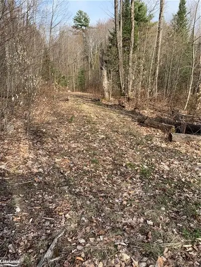 ECHO LAKE Road, Lake of Bays, ON P0B 1A0